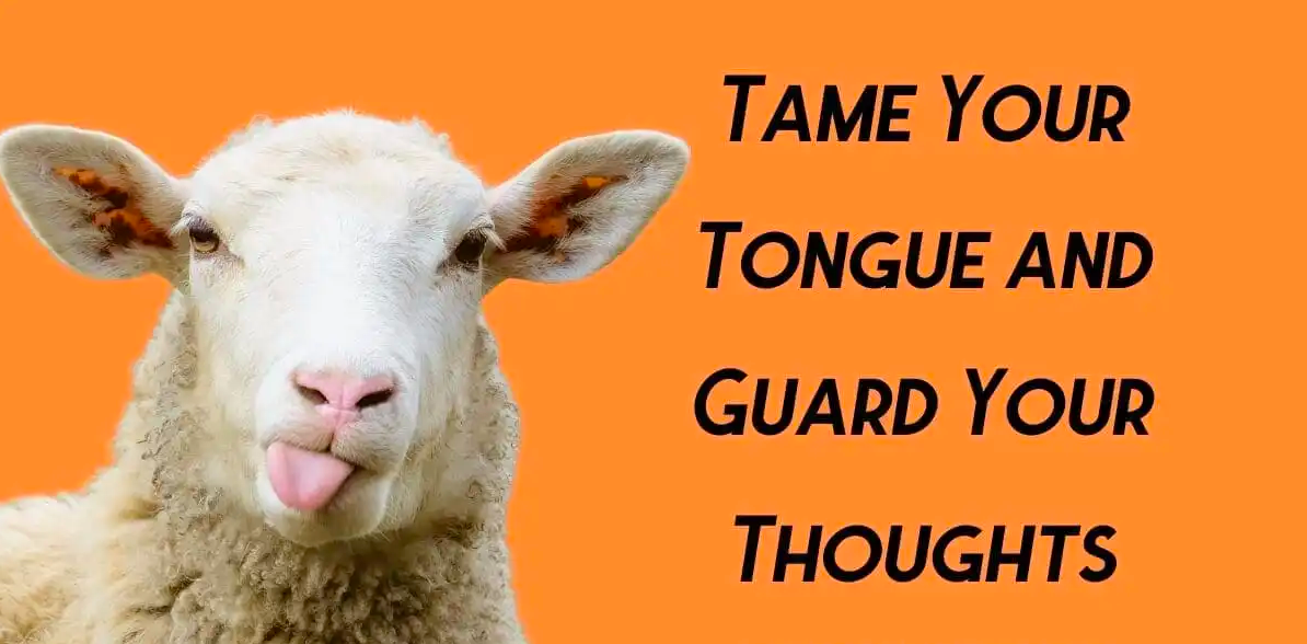 Taming the Tongue